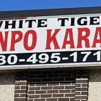 Saviano's White Tiger Kenpo Karate Std ico