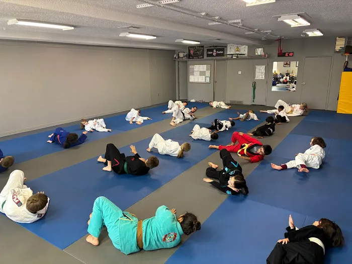 Dakota Budokan Picture 2