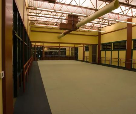 Tiger-Rock Martial Arts Academy