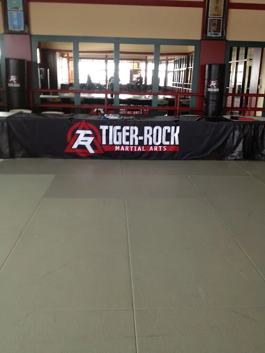 Tiger-Rock Martial Arts Academy Picture 9