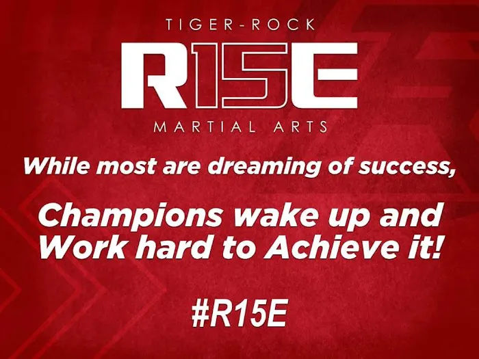 Tiger-Rock Martial Arts Academy Picture 7