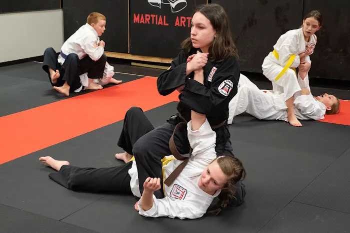 Dynamic Martial Arts of Sioux Falls Picture 3