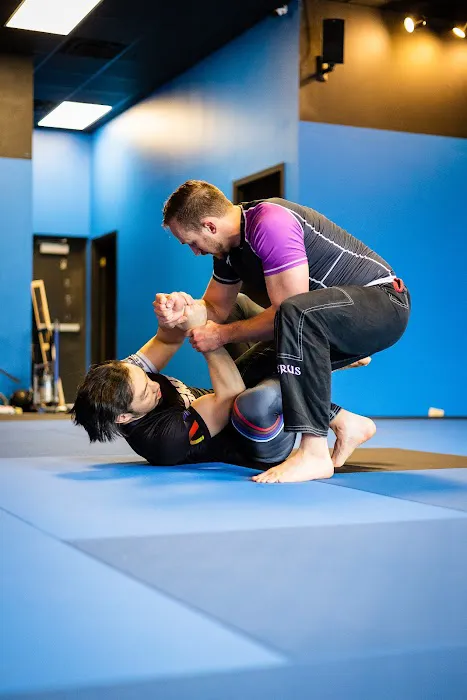 Midwest Martial Arts Academy Picture 3