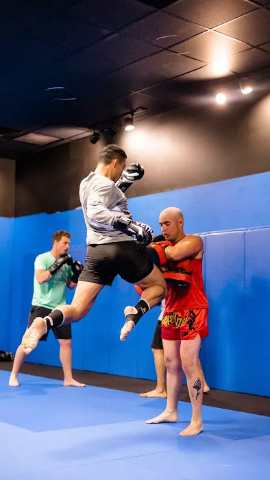 Midwest Martial Arts Academy Picture 6