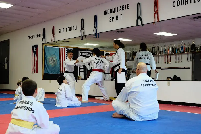 Maka's Taekwondo Picture 8