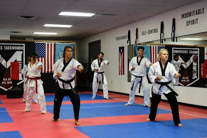 Maka's Taekwondo Picture 4