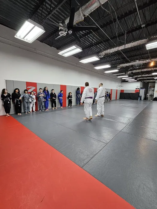 Vianna Brothers Brazilian Jiu-Jitsu Academy Picture 5