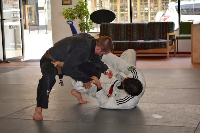 Vianna Brothers Brazilian Jiu-Jitsu Academy Picture 4