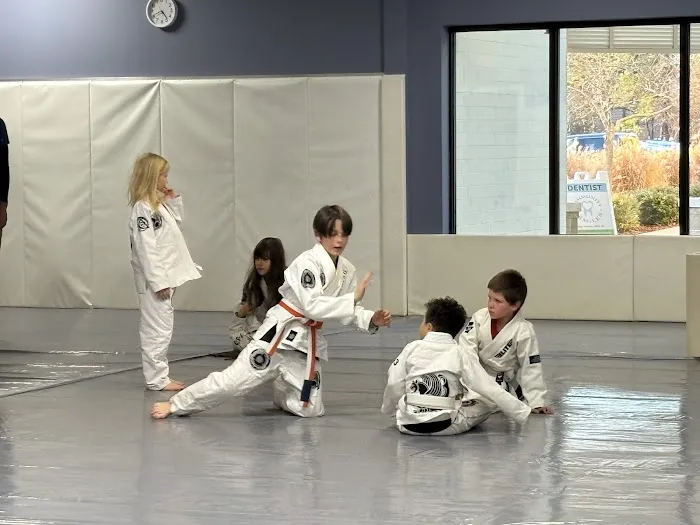 Chapel Hill Gracie Jiu Jitsu Picture 2