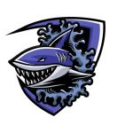 Apex Martial Arts & Fitness