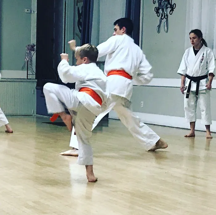lnland Empire Martial Arts Academy Picture 2