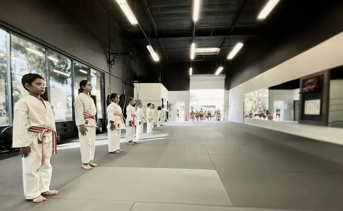 Camarillo Shotokan Karate Picture 4
