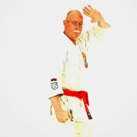 Isshin Ryu School of Karate ico