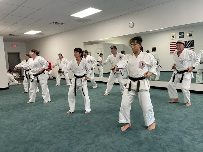 Byram Karate Academy Picture 9