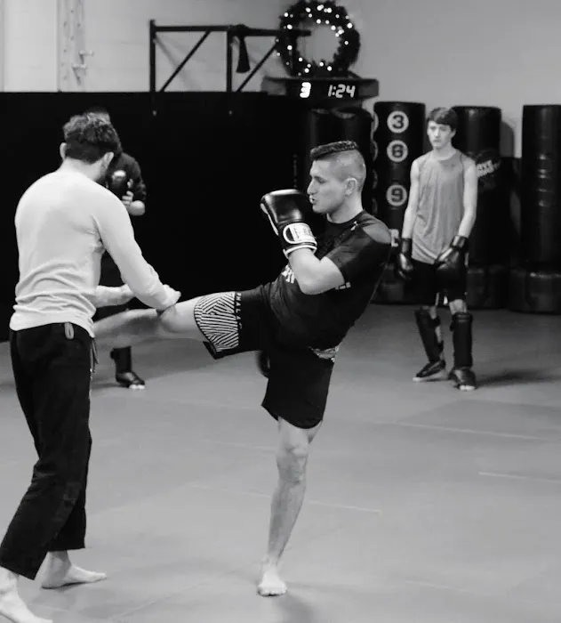 Lobo Mixed Martial Arts Picture 9