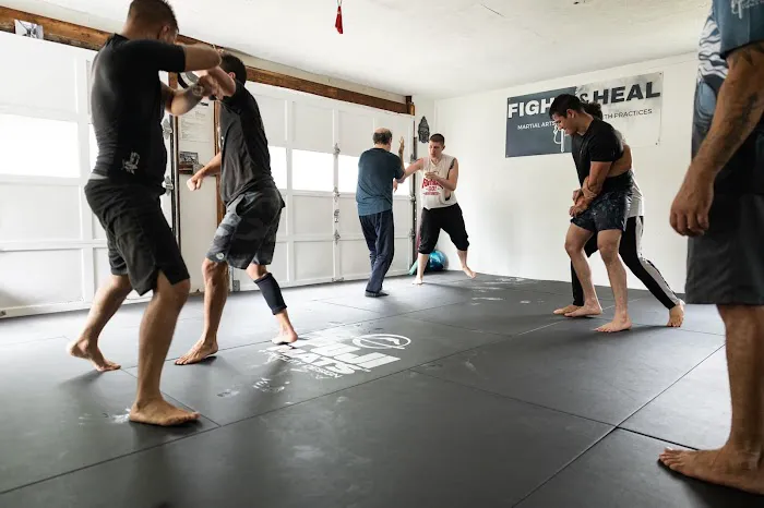 Fight & Heal Picture 3