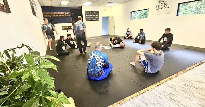 Fight & Heal Picture 8