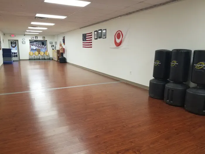 Karate Academy of Califon, LLC Picture 1