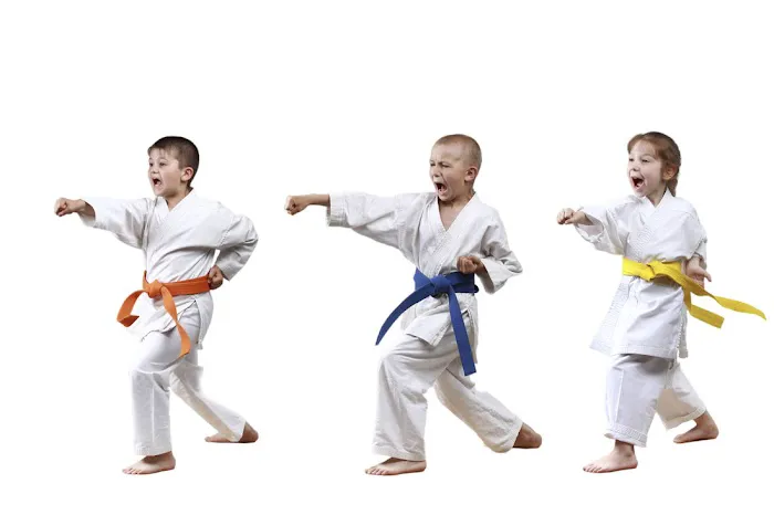 John Gaddy's Karate & Boxing Studio Picture 1
