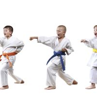John Gaddy's Karate & Boxing Studio ico