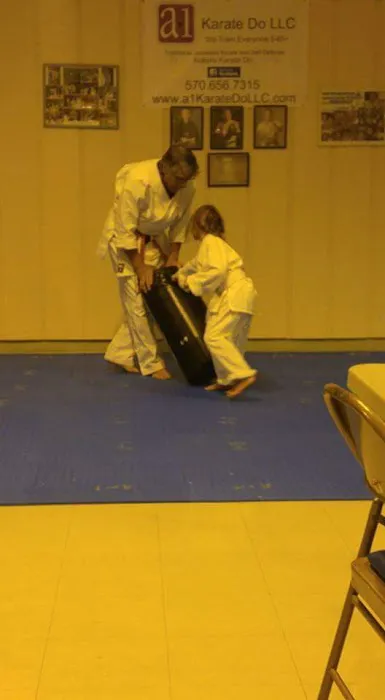 A-1 Kokoro Karate & Bushido Picture 2