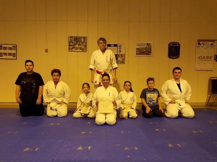 A-1 Kokoro Karate & Bushido Picture 7