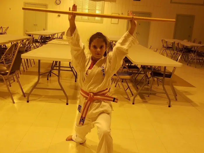 A-1 Kokoro Karate & Bushido Picture 6