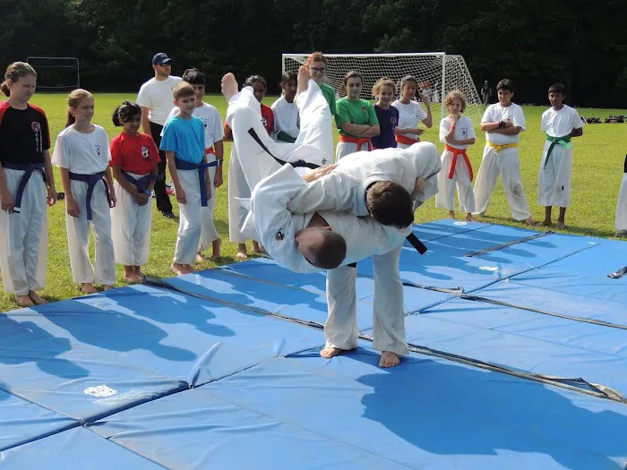 Jersey Judo Karate Academy Picture 8
