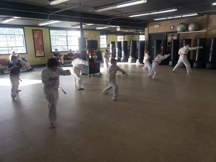 Karate Quest Dojo, Inc. Picture 3