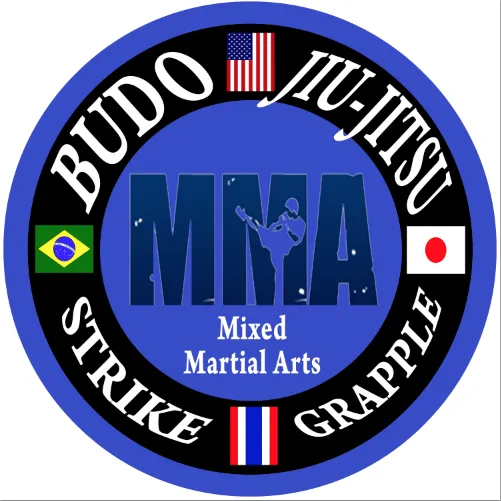 Budo Jiu-Jitsu MMA Academy Picture 3
