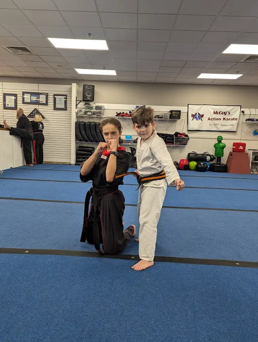 McCoy's Action Karate Picture 5