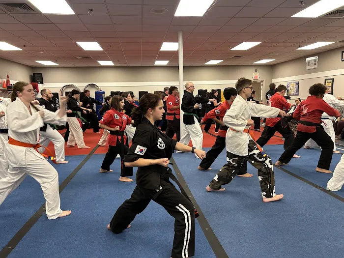 McCoy's Action Karate Picture 6