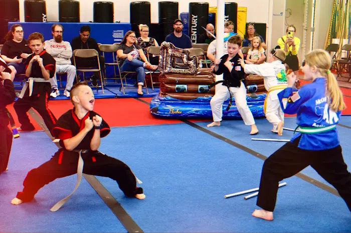 McCoy's Action Karate Picture 4