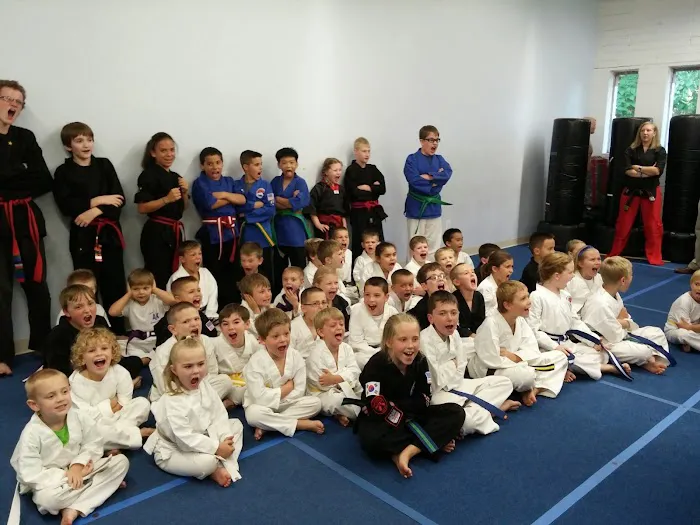 McCoy's Action Karate Picture 10