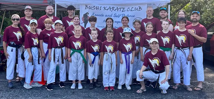 Main Street Studios- Bushi Karate Club Picture 1