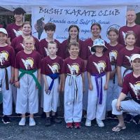 Main Street Studios- Bushi Karate Club ico
