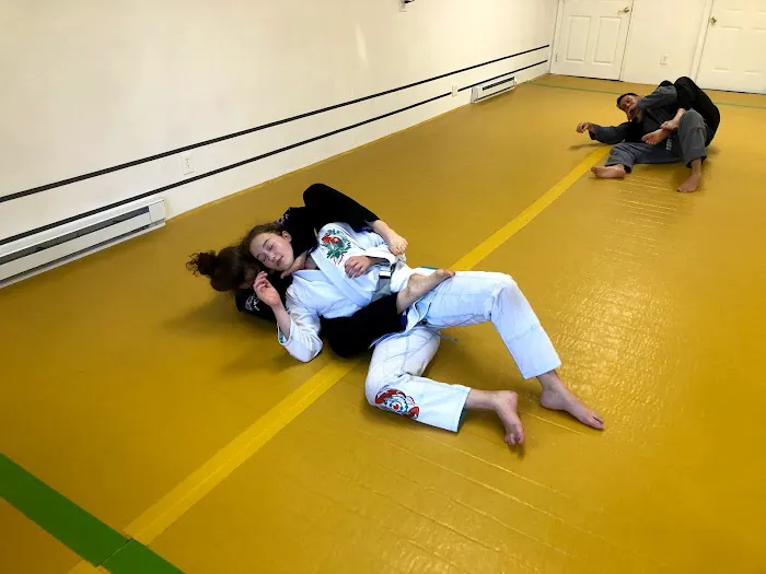 Evolve Jiu Jitsu Training Center Picture 10