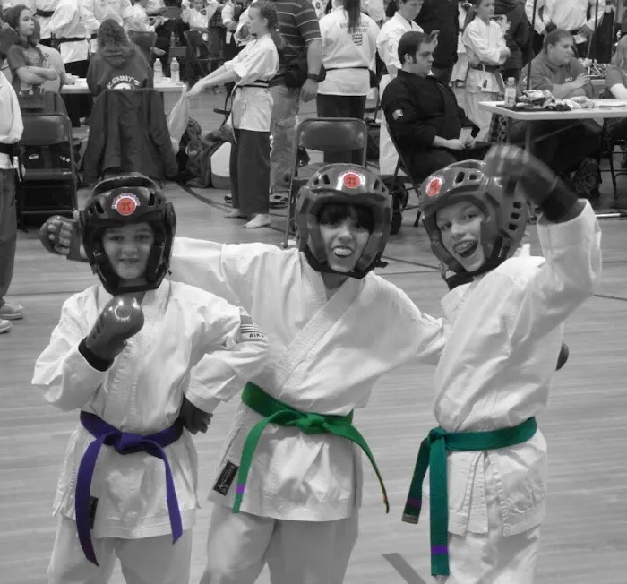 Sterling Martial Arts Picture 5