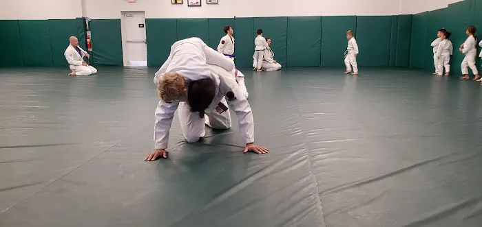 Tiger Academy of Martial Arts Picture 3