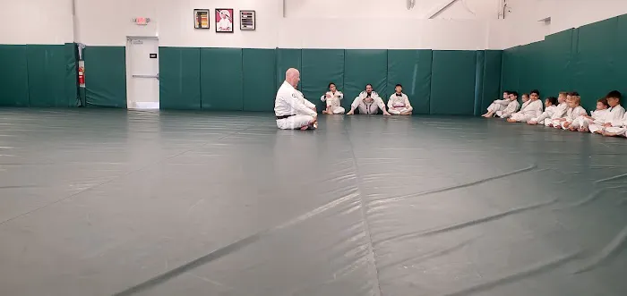 Tiger Academy of Martial Arts Picture 1