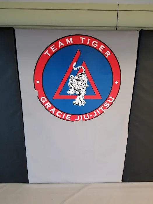Tiger Academy of Martial Arts Picture 4