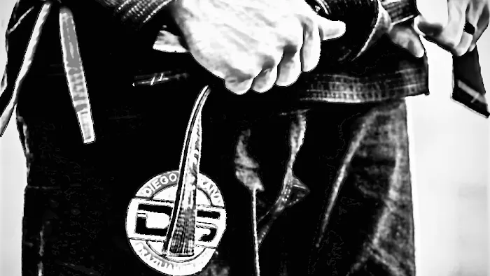 Alpharetta Martial Arts Picture 6