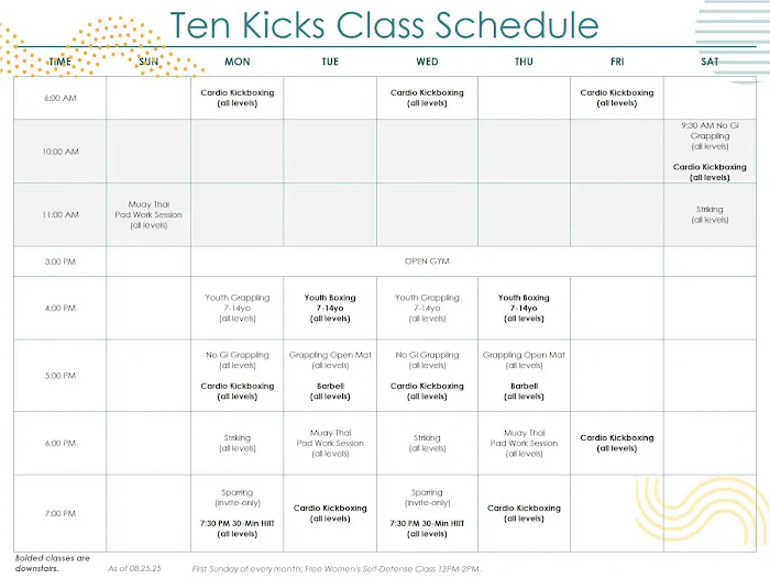 Ten Kicks Gym Picture 3