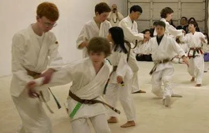 Aikido Academy For Children Picture 3