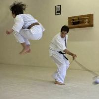 Aikido Academy For Children ico