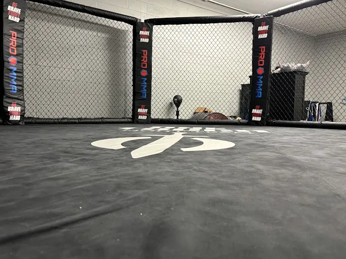 One Touch Fight Team & Academy Picture 4