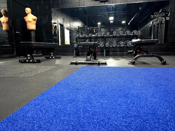 Royce Gracie Jiu Jitsu Academy Picture 5