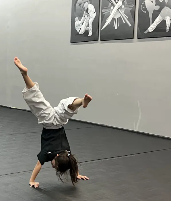 XL VCB Martial Arts Academy Picture 4