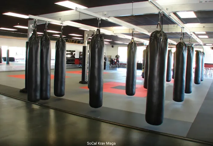 SoCal Krav Maga Picture 8