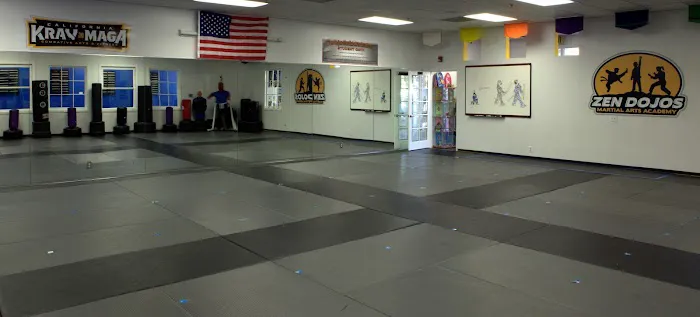Zen Dojos Martial Arts Academy Picture 1